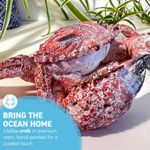 Load image into Gallery viewer, Hand-Painted Resin Crab Ornament, 28cm Wide – Unique Nautical Decor Gift
