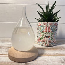 Load image into Gallery viewer, Storm Glass Tear drop shaped Weather Predictor Glass Barometer on a Wooden Base | Forecaster Creative Crystal Decorative Bottle Desktop Drops Forecast Bottle Home and Office Birthday