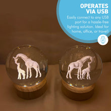 Load image into Gallery viewer, Set of Two 3D Crystal Ball Night Light USB Lamp with Giraffe designs, elegant modern illumination for any room
