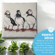 Load image into Gallery viewer, Puffin Stone Coaster with watercolour illustration, Decorative Wildlife Coaster, British artist, Meg Hawkins