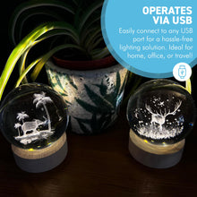 Load image into Gallery viewer, Set of Two 3D Crystal Ball Night Light USB Lamp with Reindeer and Elephant designs, elegant modern illumination for any room
