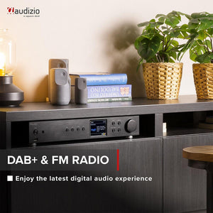 Internet Radio with DAB, DAB+ and FM | Spotify, Bluetooth Connectivity, Remote, AUX and USB Inputs | Majority Fitzwilliam 2 Internet & Digital Radio | WiFi, Full Colour Display, 90 Pre-sets | Silver