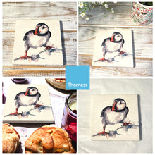Load image into Gallery viewer, CURIOUS PUFFIN STONE COASTER | Stone Coasters | Animal novelty gift | Coaster for glass, mugs and cups| Square coaster for drinks | Puffin gift | Meg Hawkins art | 10cm x 10cm