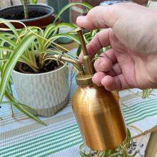 Load image into Gallery viewer, Copper Plated Atomiser | Plant Mister Spray | indoor plants | Spray bottle plant water watering mister