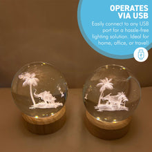 Load image into Gallery viewer, Set of Two 3D Crystal Ball Night Light USB Lamp with Elephant designs, elegant modern illumination for any room