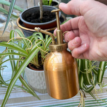 Load image into Gallery viewer, Copper Plated Atomiser | Plant Mister Spray | indoor plants | Spray bottle plant water watering mister