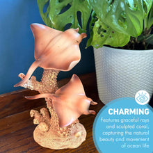 Load image into Gallery viewer, Natural Wood Effect Coral & Rays Decorative Ornament – Coastal Home Décor 18cm