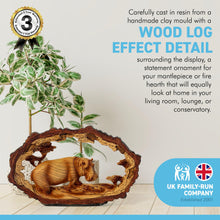 Load image into Gallery viewer, SOLITARY HIPPO IN WOOD EFFECT RESIN  |Ornaments for The Home | Home Accessories | Animal Lover Gift Birthday Friendship Gifts | Wildlife Lover Gift| Ornaments | Hippopotamus