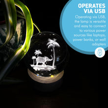 Load image into Gallery viewer, USB-Powered 3D Crystal Ball Night Light with Elephant Design - Ludosphere LED Lamp for Home Decor