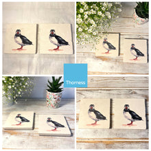 Load image into Gallery viewer, 2 x PROFESSOR PUFFIN STONE COASTERS | Stone Coasters | Animal novelty gift | Coaster for glass, mugs and cups| Square coaster for drinks | Puffin gift | Meg Hawkins art | 10cm x 10cm