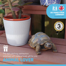 Load image into Gallery viewer, 13cm long small lifelike REALISTIC resin TORTOISE home ORNAMENT