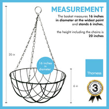 Load image into Gallery viewer, Metal 16 Inch diameter green Hanging Basket