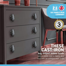 Load image into Gallery viewer, Pack of 4 CAST IRON FUNKY BUG DRAWER KNOB for Kitchen cupboards | Cast Iron Antique style | Vintage charm meets modern functionality | 5cm L x 2cm D