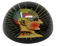 Load image into Gallery viewer, Set of two glass paperweights palmistry and Phrenology /ornament / palmistry hand palm / psychology / paperweight / fortune telling palmistry design ornament