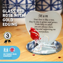 Load image into Gallery viewer, Frosted Glass Heart shaped Plaque with heartfelt moving verse for Mum | Unique gift for your mother | Includes red glass rose with gold edging on a mirror plinth | Gift Boxed with matching ribbon