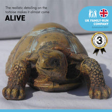 Load image into Gallery viewer, 13cm long small lifelike REALISTIC resin TORTOISE home ORNAMENT