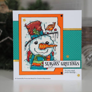Woodware Craft Collection Stamp set - Mr Frosty FRS820