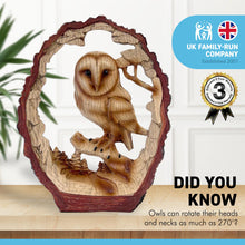 Load image into Gallery viewer, Eye catching Free Standing GRACEFUL OWL ON A LOG decorative ORNAMENT