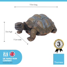 Load image into Gallery viewer, 17cm long lifelike REALISTIC resin TORTOISE home ORNAMENT | suitable for INDOOR OR OUTOOR display
