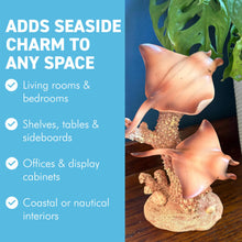 Load image into Gallery viewer, Natural Wood Effect Coral &amp; Rays Decorative Ornament – Coastal Home Décor 18cm
