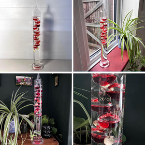 44cm Tall Free Standing Galileo Thermometer with Ten Floating Red Globes | Measures temperatures from 16 Degrees Centigrade to 35 Degrees | Also in Fahrenheit | Weather Station | Water Thermometer