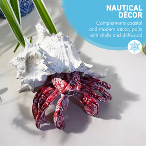 Hand-Painted Hermit Crab Resin Ornament – 19cm Nautical Decor & Unique Gift Idea