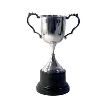 Load image into Gallery viewer, Elegant 18cm Silver Trophy Cup - Ideal Award for sports, competitions &amp; ceremonies
