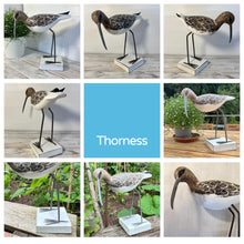 Load image into Gallery viewer, Large wooden FISHING CURLEW BIRD ORNAMENT | Seaside gifts | Wooden beach ornaments | Beach hut accessories | Nautical decorations | Ornaments for the home | 28cm (H) x 26cm (L) x 11cm (D)
