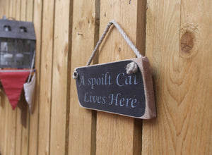 British handmade A Spoilt Cat Lives Here solid wooden hanging sign