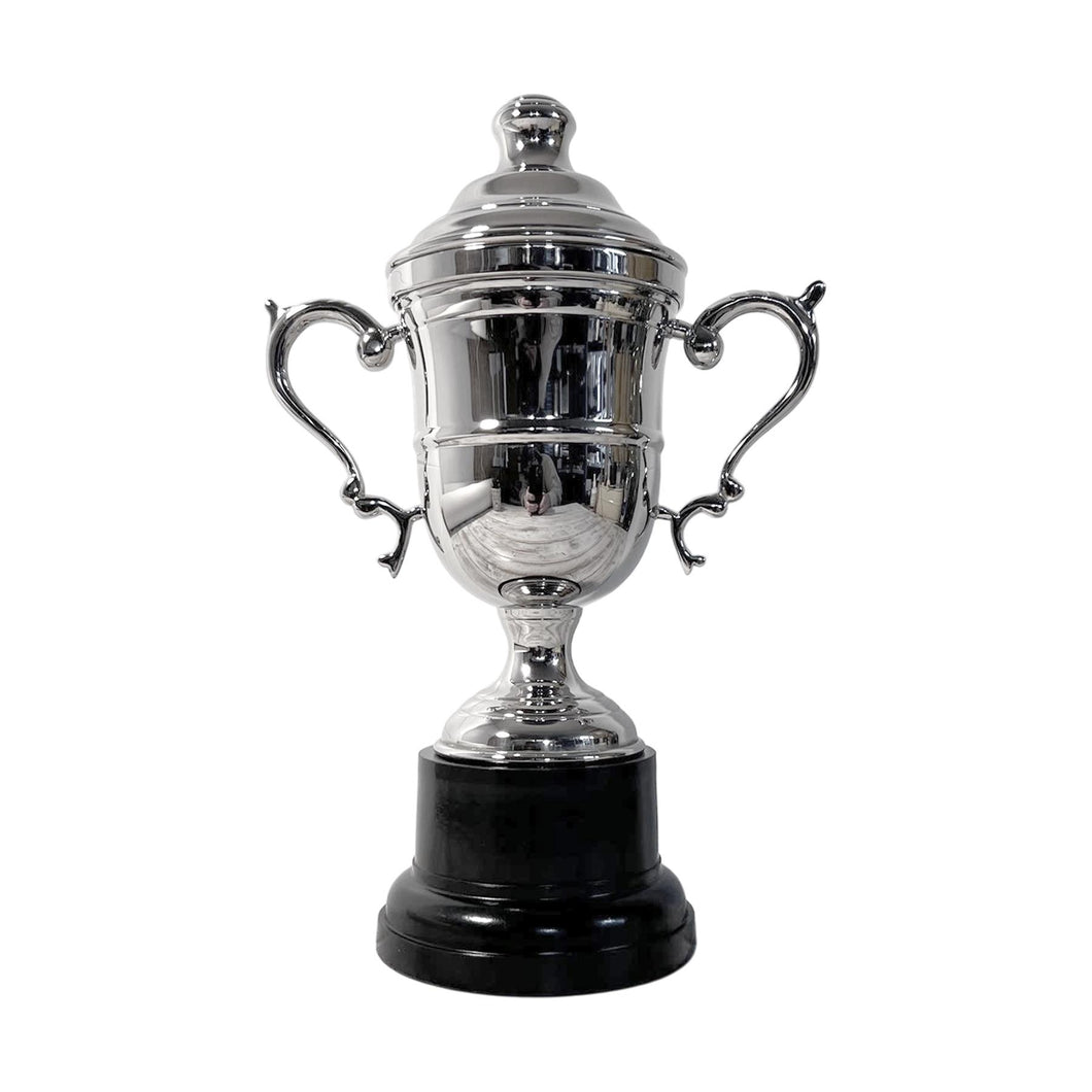 Silver Trophy Cup with lid 17cm - Ideal Award for achievements & celebrations