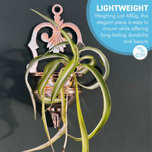 Load image into Gallery viewer, Brass Wall Planter, Wall Sconce Planter for indoor or outdoor use
