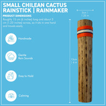 Load image into Gallery viewer, Small Chilean Cactus Rainstick | Rainmaker - 15 cm Handmade Percussion Instrument with a Gentle Rain Sound

