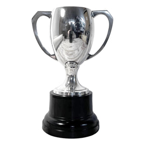 Elegant 20 cm Silver Trophy Cup - Ideal Award for achievements & celebrations