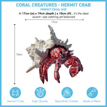 Load image into Gallery viewer, Hand-Painted Hermit Crab Resin Ornament – 19cm Nautical Decor &amp; Unique Gift Idea
