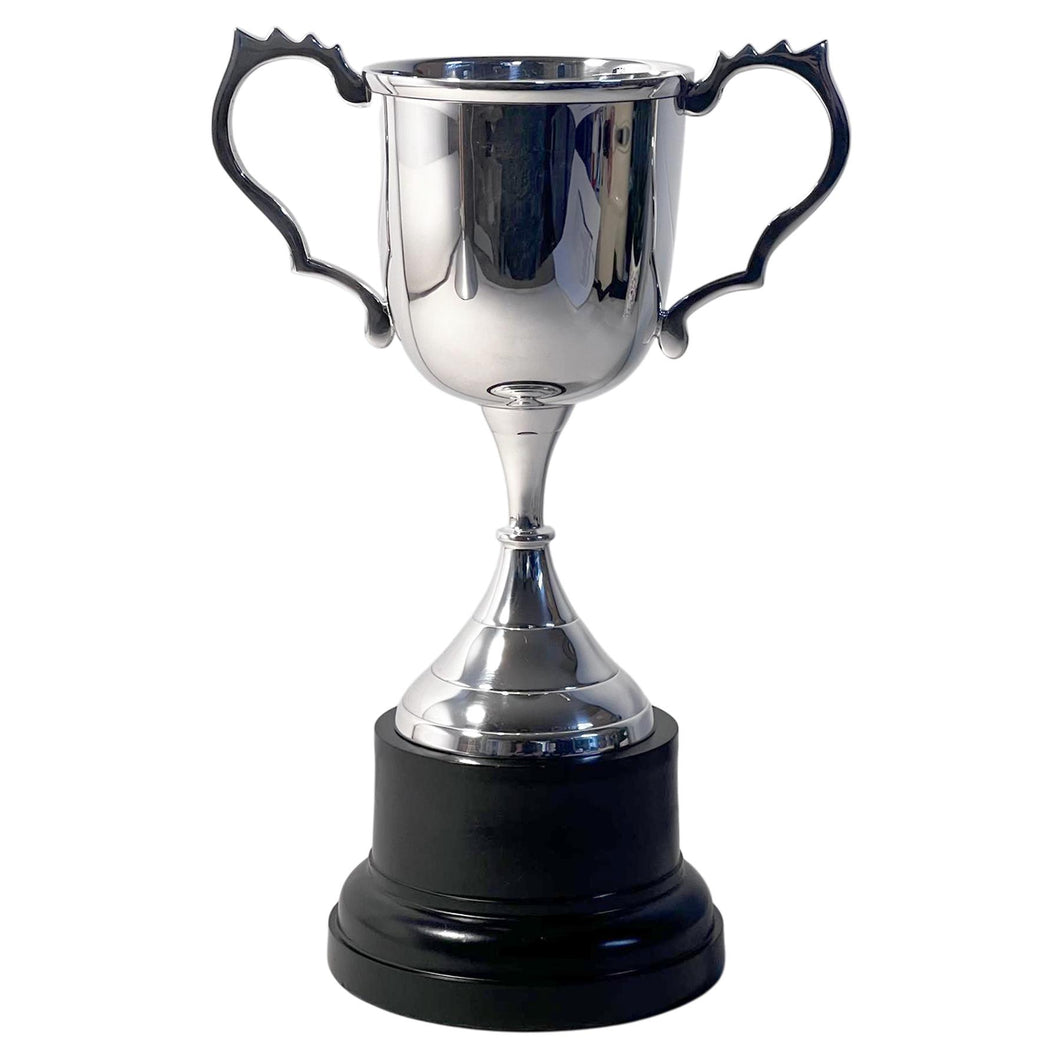 Elegant 22cm Silver Trophy Cup - ideal award for achievements & celebrations