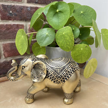 Load image into Gallery viewer, Exquisite Golden Elephant Statue: Elegant Ornament in Brilliant Gold Hue - Perfect for Home Decor
