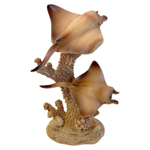 Load image into Gallery viewer, Natural Wood Effect Coral &amp; Rays Decorative Ornament – Coastal Home Décor 18cm
