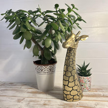 Load image into Gallery viewer, Gold-Colored 30cm Giraffe Head &amp; Neck Ornament
