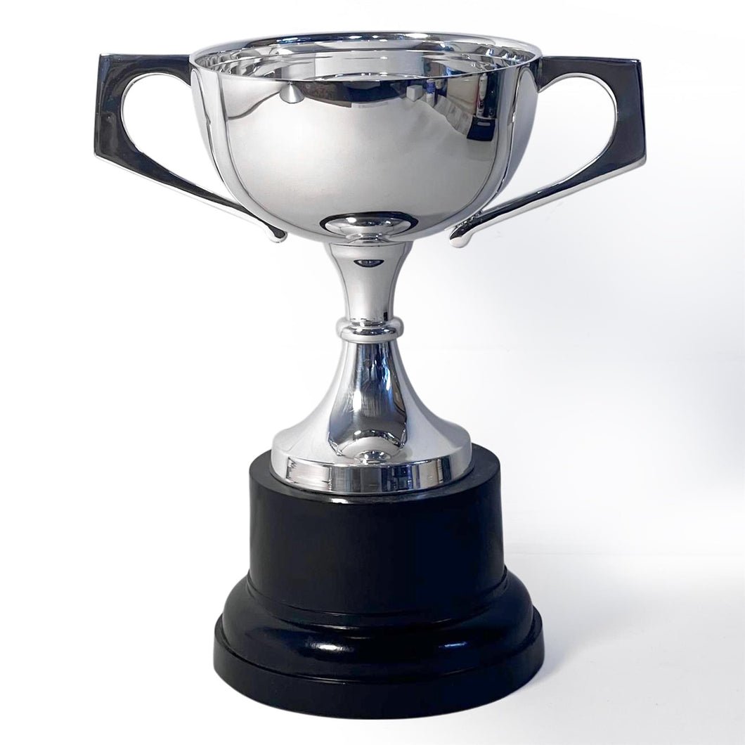 Elegant 18cm Silver Trophy Cup, Champagne Coupe design - Ideal Award for achievements & celebrations