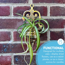 Load image into Gallery viewer, Brass Wall Planter, Wall Sconce Planter for indoor or outdoor use
