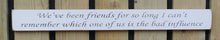 Load image into Gallery viewer, Shabby chic finish wooden sign  - We&#39;ve been friends so long....
