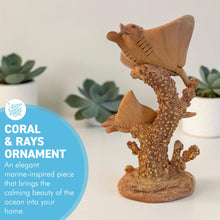 Load image into Gallery viewer, Natural Wood Effect Coral &amp; Rays Decorative Ornament – Coastal Home Décor 18cm
