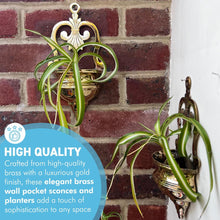 Load image into Gallery viewer, Brass Wall Planters, 2 x Wall Sconce Planters for indoor or outdoor use
