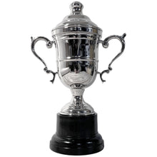 Load image into Gallery viewer, Elegant 26cm Silver Trophy Cup with lid- Ideal Award for achievements &amp; celebrations
