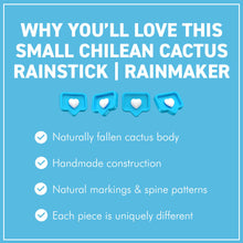 Load image into Gallery viewer, Small Chilean Cactus Rainstick | Rainmaker - 15 cm Handmade Percussion Instrument with a Gentle Rain Sound
