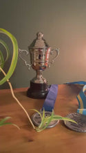 Load and play video in Gallery viewer, Silver Trophy Cup with lid 17cm - Ideal Award for achievements &amp; celebrations
