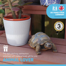 Load image into Gallery viewer, 13cm long small lifelike REALISTIC resin TORTOISE home ORNAMENT

