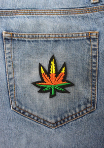 Earthy Marijuana weed patch