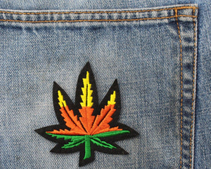 Earthy Marijuana weed patch