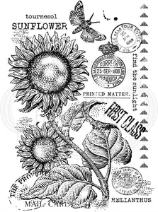Woodware Clear Cling Stamps - FRS777 Vinatge Sunflower
